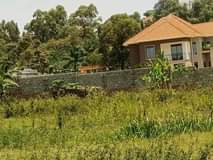 A picture of Land