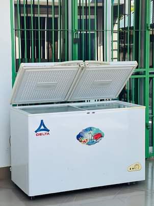 A picture of DELTA FREEZER 400L
