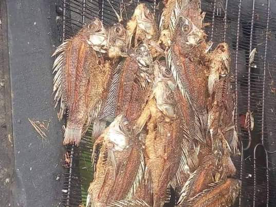 A picture of PIGA SIMU 0747168472