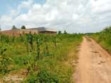 A picture of Good plots on sale Location Matuga kitungwa Along semuto road