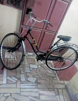 A picture of BASKELI BOMBA SANA