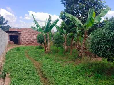 A picture of Good for home and rentals plot for sale in matugga