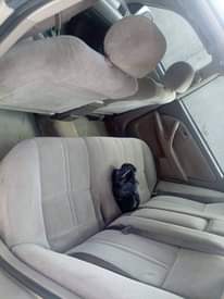 A picture of camry fish light