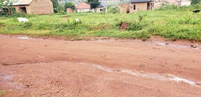 A picture of 7 plots good for shops only in Mukono Town. 0756873001