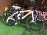 A picture of Mountain bike size
