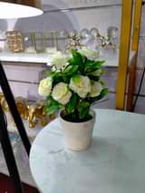 A picture of Flowers