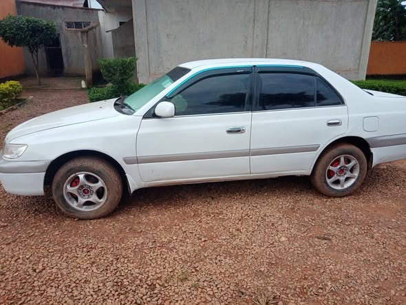 A picture of Toyota premio
