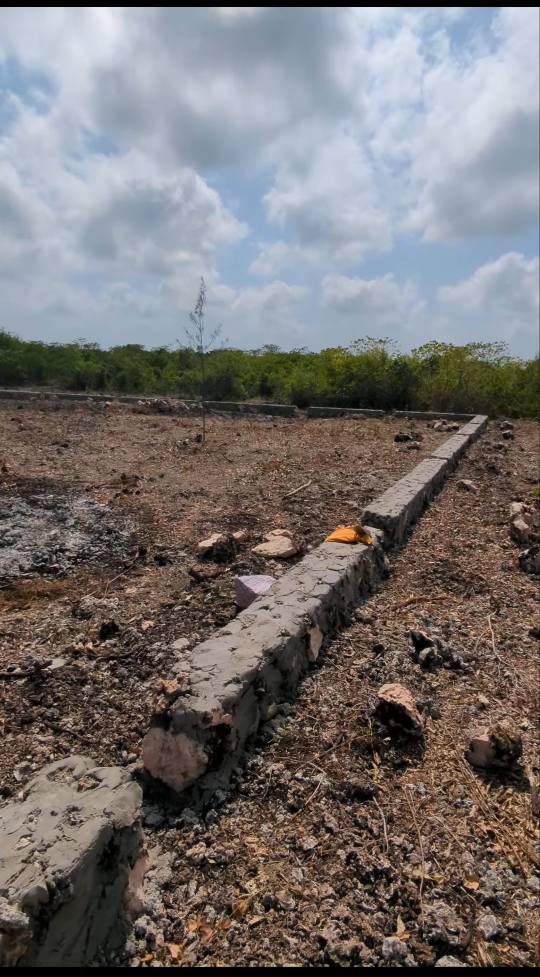 A picture of Paje plot for sale