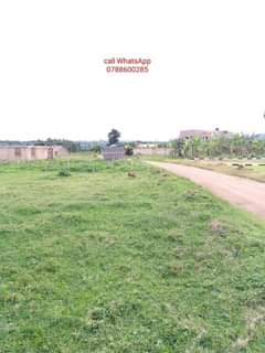 houses hoima