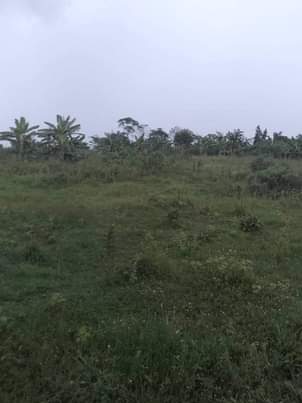 A picture of Land