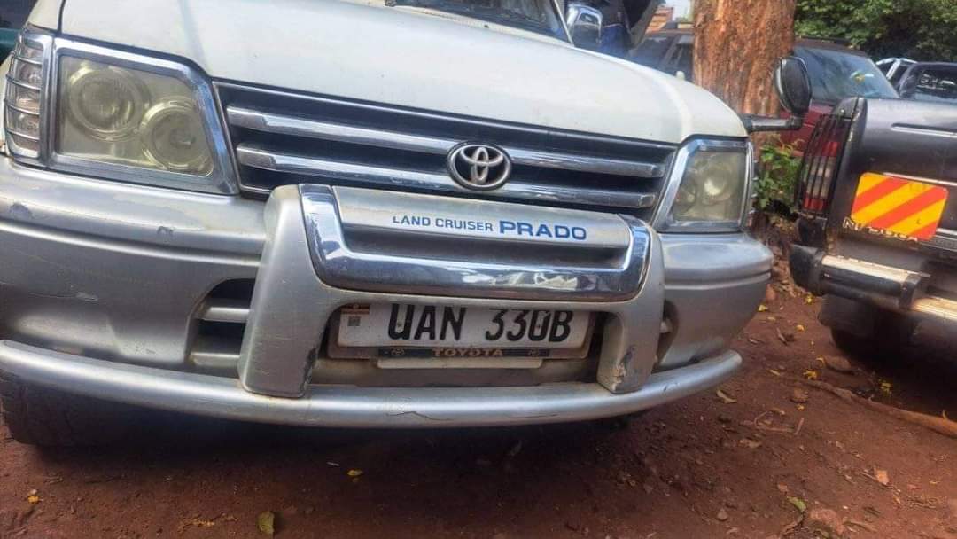 used toyota prado