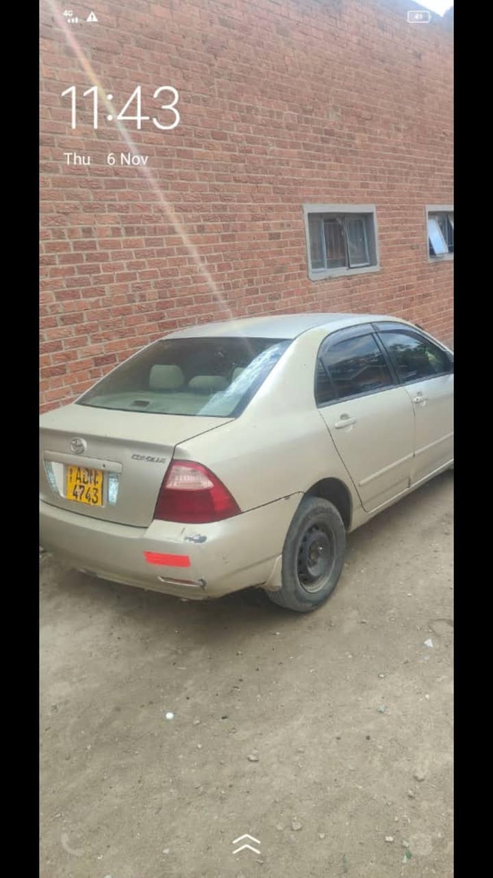 used toyota corolla