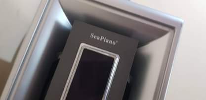 A picture of sabufa seapeano