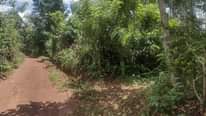 A picture of Plot for sale