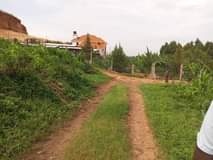 A picture of Ready plots on sell