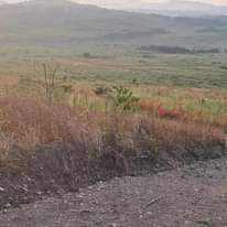 A picture of Plots and Houses for sell