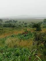 Ssentumbwe B.