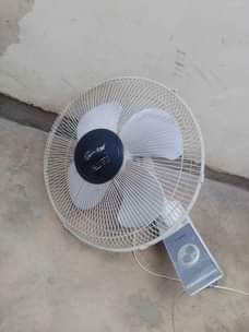 A picture of Feni