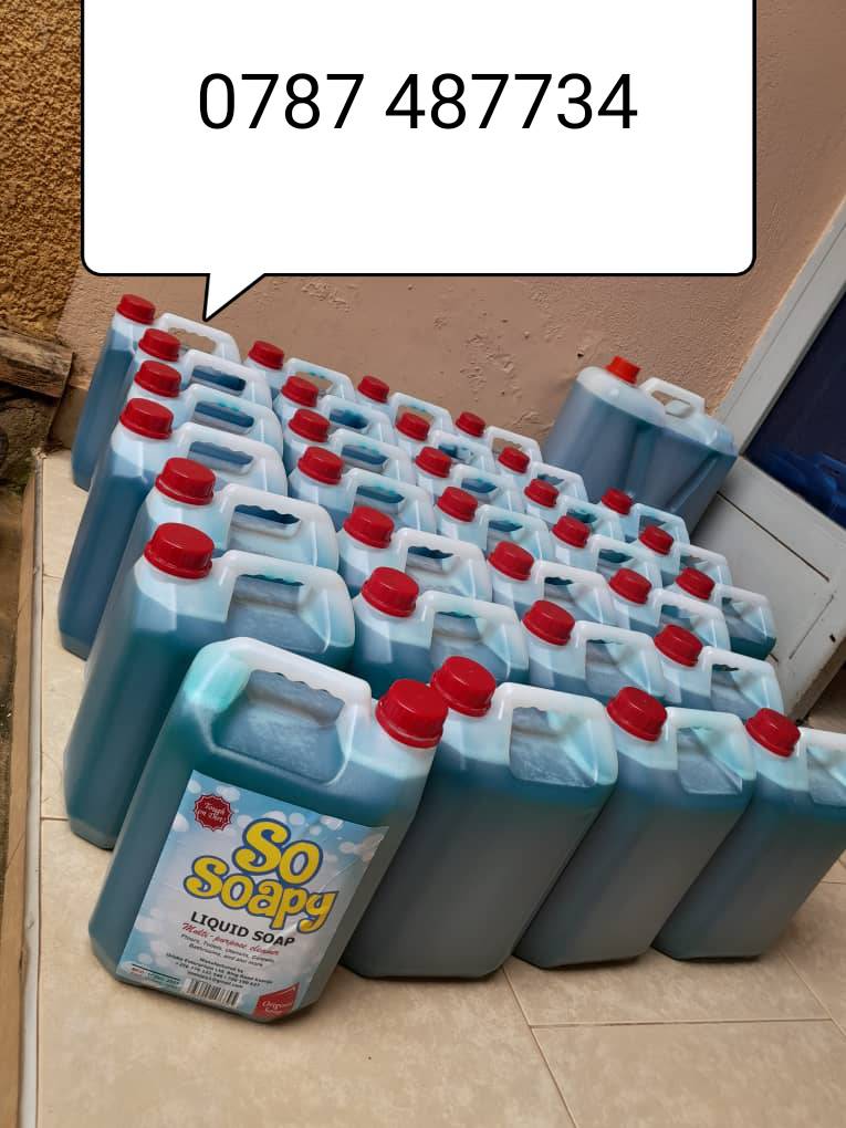 A picture of Liquid soap dog shampoo hair shampoo Jik toilet bowl cleaner