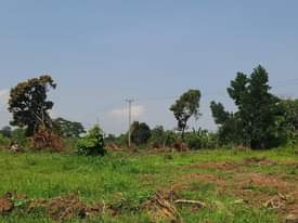 A picture of PLOTS OF LAND