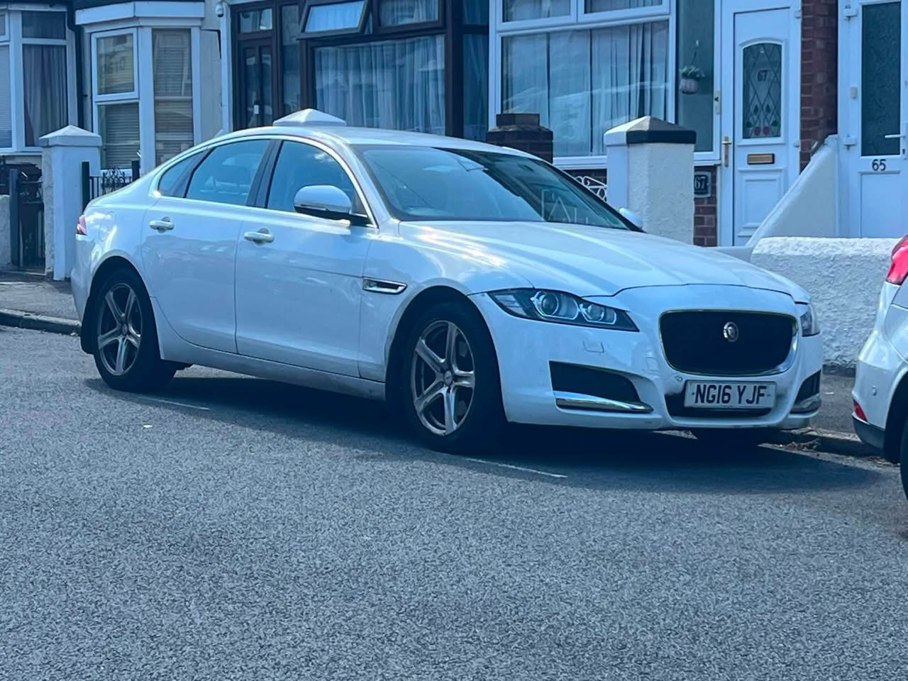 jaguar