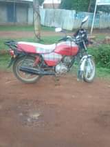 tvs hlx