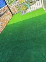 A picture of Carpets and grass carpet