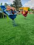 A picture of 256705881025 Grass carpets