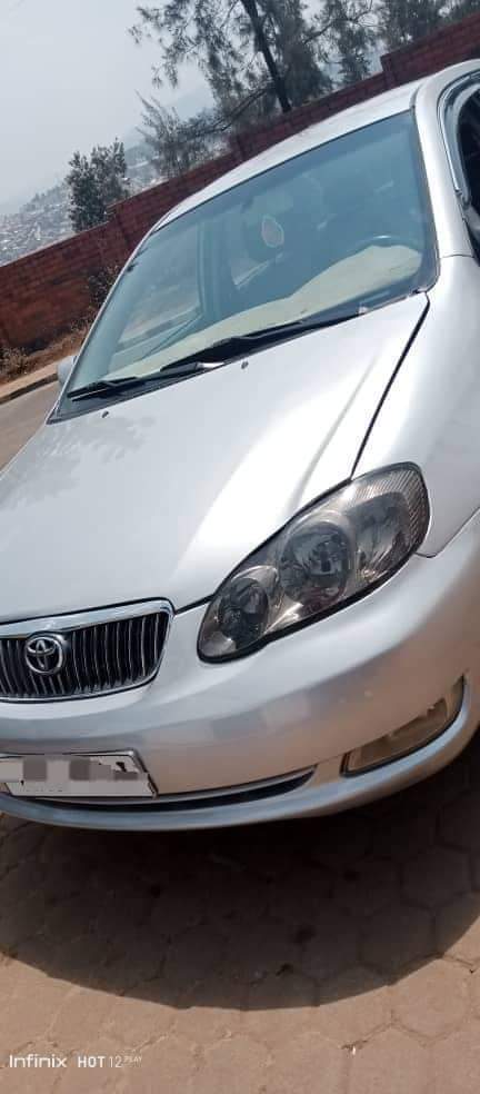 used toyota corolla