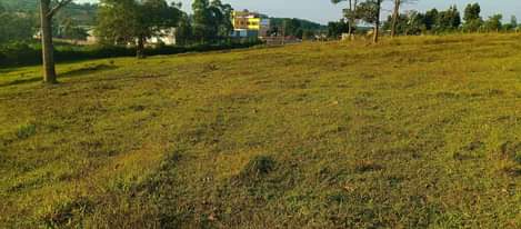 A picture of 15 ACRES AT MATUGGA TOUCHING GULU HIGHWAY. 350M EACH. PML