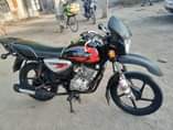 A picture of BoxerX150