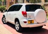 A picture of RAV4 MISS TZ