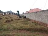 A picture of 4bedroom house at gayaza on quick sale