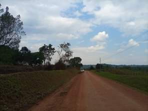 A picture of  URGENTLY MONEY NEEDED TODAY Location Mityana Land size 560