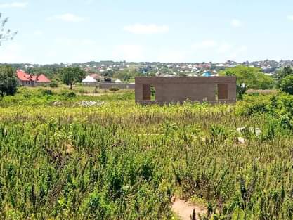 A picture of Kiwanja kinauzwa nyashishi