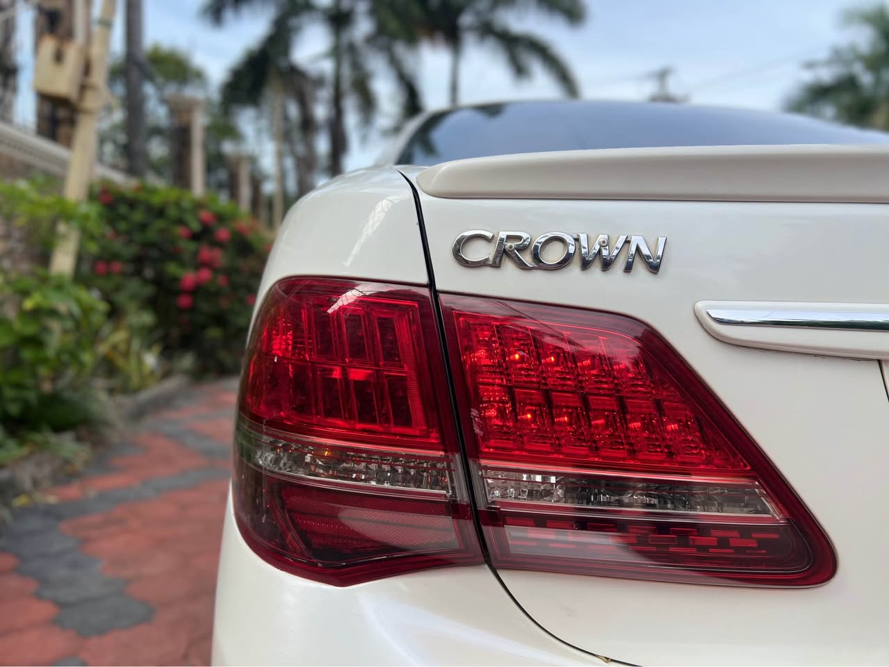 A picture of Crown athlete new model