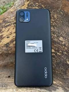 A picture of Oppo A16K