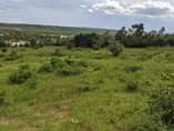A picture of Big land for sale 2 hectors in Rwabutenge Gahanga sector