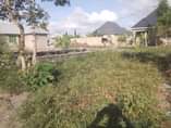 A picture of KINAUZWA MILION 4 000 000