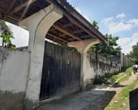 A picture of INAUZWA TABATA BIMA ILALA MIL 75