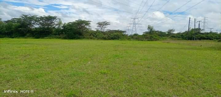 Wangari N.