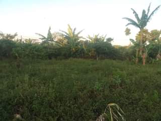 A picture of 180ft by 90ft for sale by owner in kisoga along