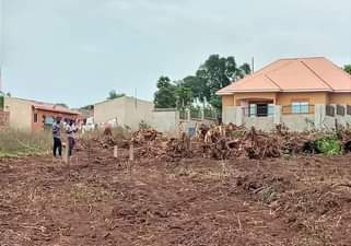 A picture of In matuga kiwebwa from 1m to 12m
