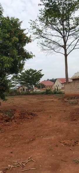 A picture of Plots for sale in Zirobwe Kyetume 50Ft by 100ft at