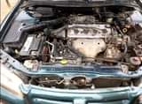 A picture of Honda Accord babyboy