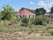 A picture of VIWANJA MADALE MBOPO