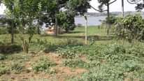 A picture of SHELL HOUSE FOR SALE Located in Entebbe city Nkumba Close