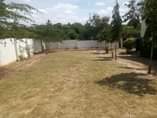 A picture of GHOROFA LINAUZWA