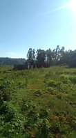 A picture of 20ft x 68ft Residential Plot Agreement sale in NSAGU NAKAWUKA