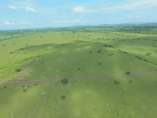 A picture of Nyakisharara 50 100 ft plots available WhatsApp 0781260064